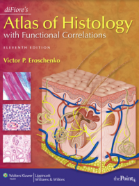 Di Fiore's atlas of histology with functional correlations.
