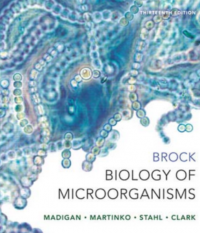 Brock Biology Of Microorganisme