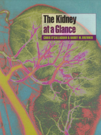 The Kidney At A Glance