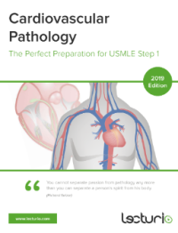 Cardiovascular Pathology The Perfect Preparation for USMLE Step 1