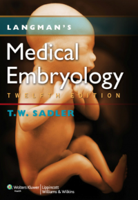 Medical Embriology